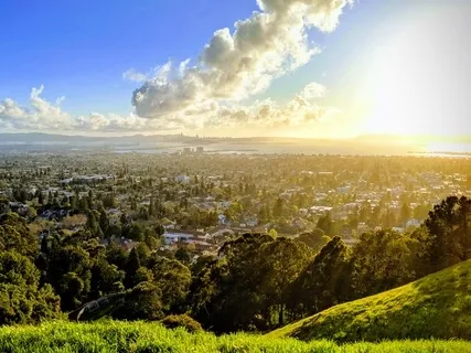 Resilient Observer Meditation