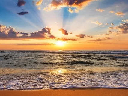 Resist & Prevent Viral Infection - Affirmations