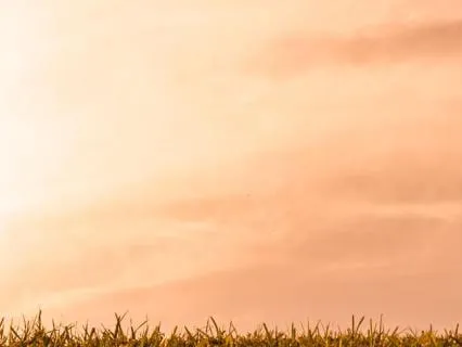 Resist Nothing | Jewish Meditation On Vayikra & א ALEPH