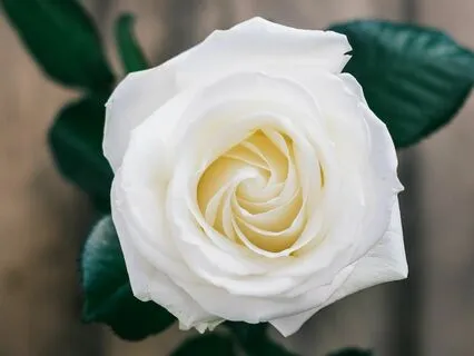 Resolve Inner Conflict Subliminal With Gentle Rain