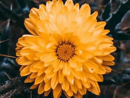 Resolve Suffering - Process With Affirmative Prayer