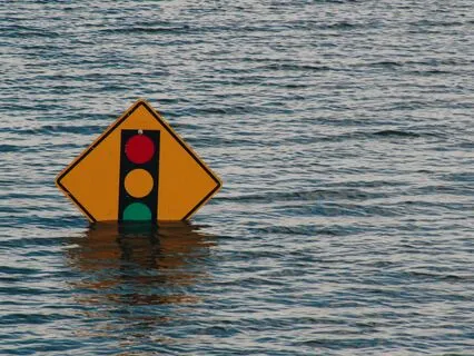 Resolving Ecological Angst