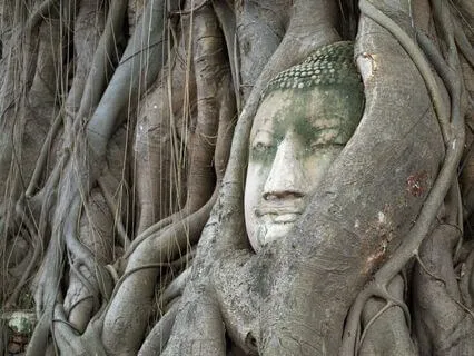 Resolving Soul Contracts Through Compassion (Mantra/Anuhazi)