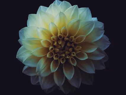 Resonance Frequency Breath Guide W/ Delta Binaural Beats