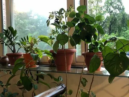 Resonance Tarot Reading