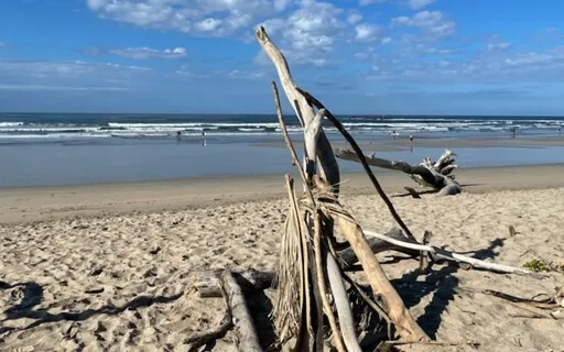 Resonant Guitar: Costa Rican Beach