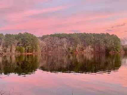 Resonant Guitar: Rest With Breath