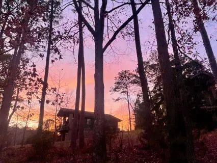 Resonant Guitar: Resting Into Breath