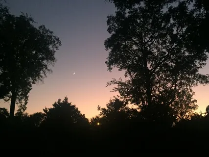 Resonant Guitar To Start Or End Your Day