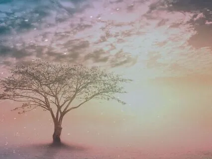 Resonant Healing – Handpan Frequencies For Inner Balance