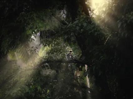 Resonant Stillness A 432 Hz Forest Journey