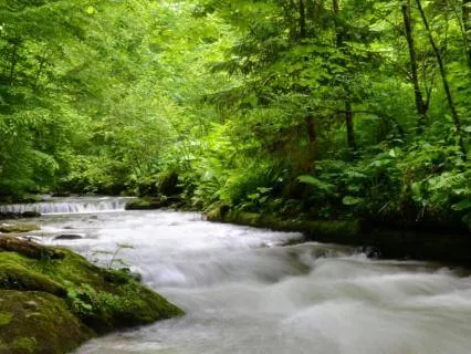 Resonant Stream - Handpan Mindfulness