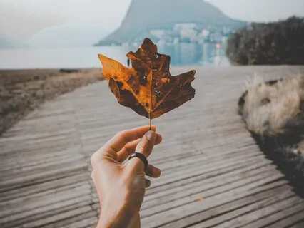 Resonating Self-Witness #3