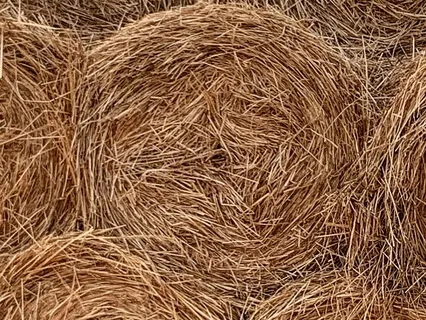 Resonating With Truth