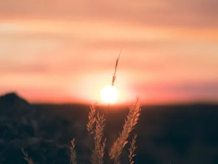 Resource In Safety Meditation