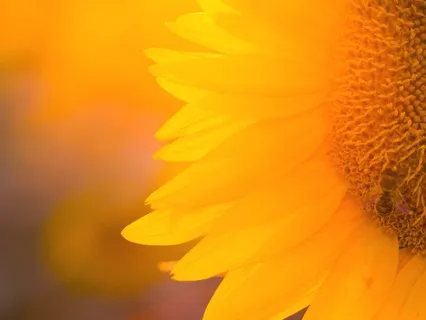 Resourcing, Finding Your Center