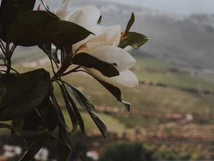 Respiração a 3 Partes