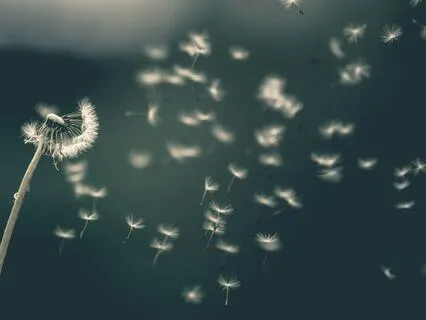 Respiração Consciente