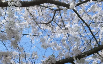 Respiração Guiada Para Descontrair