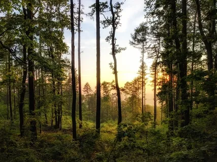 Respiracions Conscients - Meditació en Català
