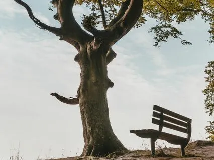 Guidage Respiration Bastrika 1, Activation & Apaisement