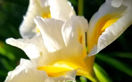 Responding Compassionately To Shame (Self-Compassion)