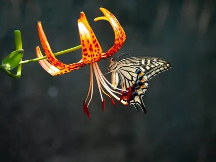 Responding To Change - A Meditative Prayer