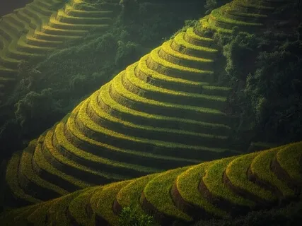 Responding To Stress And Anxiety