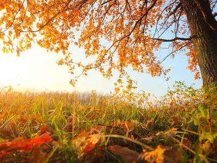 Responses To Loss Or Change (Part 1 )