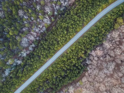 Rest And Receive Love