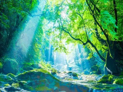Rest And Recovery – Music For Deep Relaxation