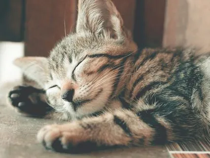 Rest And Rejuvenate: 9-min Meditation