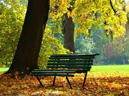 Rest And Reset: A Beautiful Visualisation