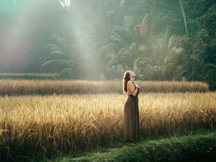 Rest And Reset For The Parasympathetic Nervous System