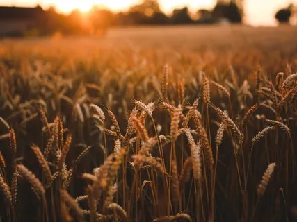 Beautiful Soundscape And Gratitude Practice