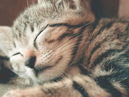 Rest And Restore Ocean Energy