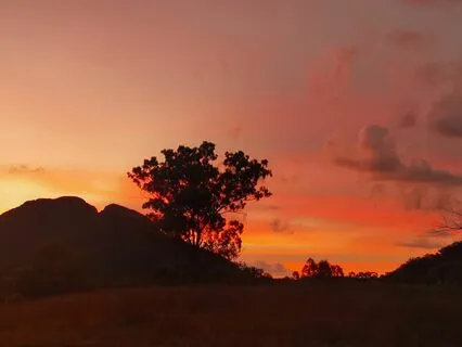 Rest And Restore - Guided Didjeridu Effortless Meditation