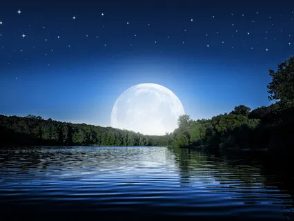Rest And Sleep By A Lake