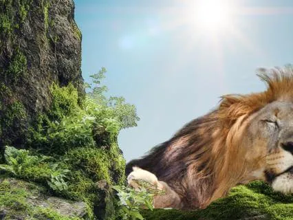 Rest As Medicine | Lion Guide Meditation & Affirmations