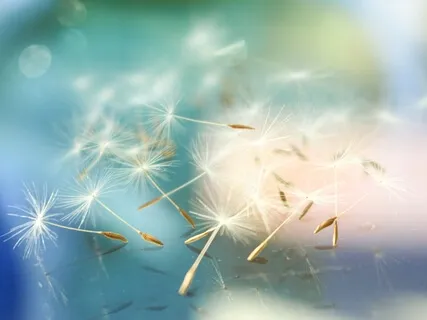 REST - Avslappning Genom Kroppen 