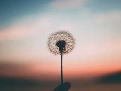 REST - Avslappning Introduktion