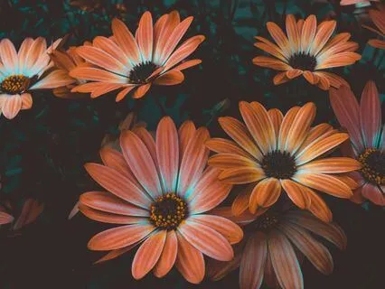 Rest Cannot Be Forced: Effortless Discovery Of Deep Peace