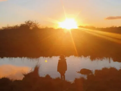 Rest Deeply Now: Autumn