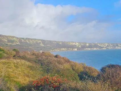 Rest Easy Meditation