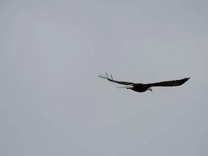 Rest, Faith, & Serenity