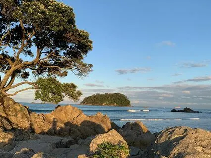 Rest For Chronic Illness