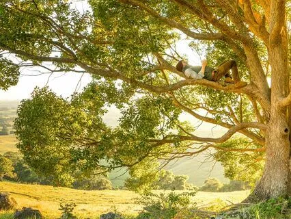 Rest For Ten Minutes