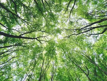 Rest In Loving Connection