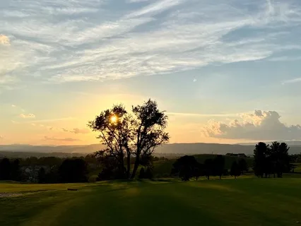 Rest In Nature Beneath The Tree Of Stillness