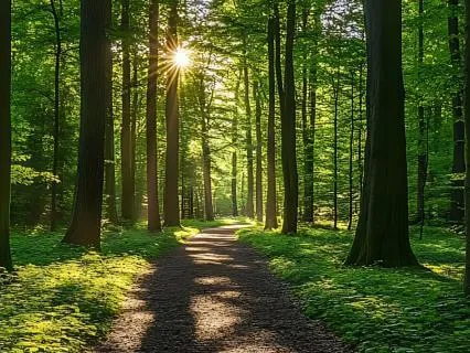 Rest In The Peace Of Being Fully Known - Psalm 139 Meditation